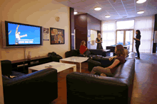 Open days at Royal Veterinary College