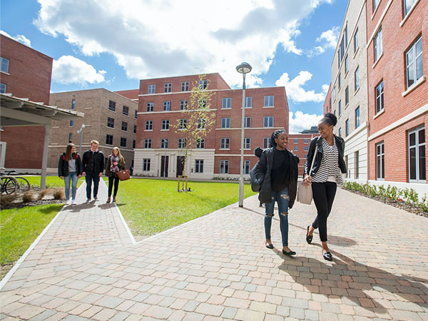 Swansea University