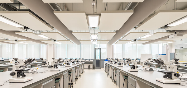University of Hertfordshire