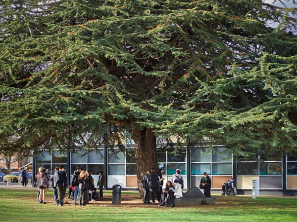 University for the Creative Arts